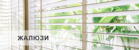 Жалюзи